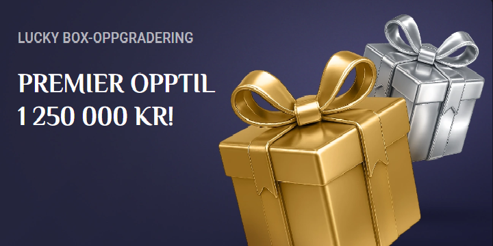 RollXo Casino Bonusbanner